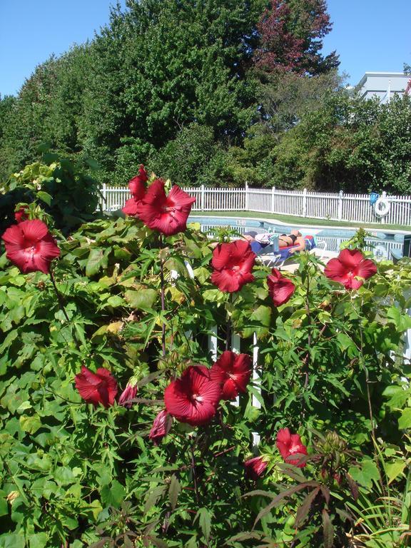 Coast Village Inn And Cottages Wells Bagian luar foto